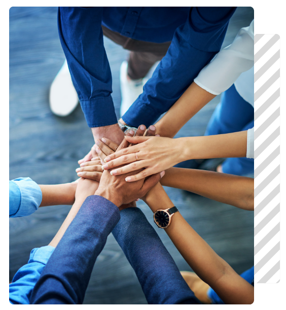 Header-Assievolution-e1729611976338