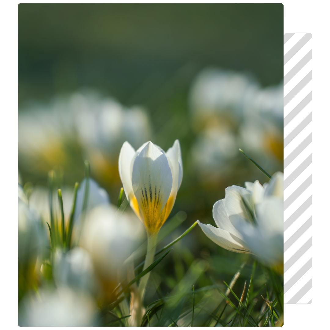 Protezione-in-casa-e-sulla-neve-1