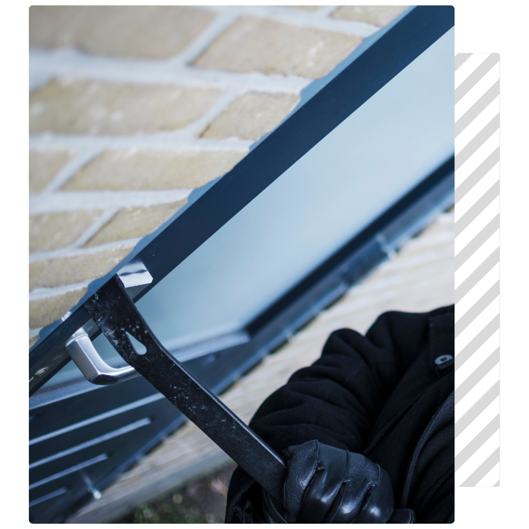 Pagine-interne-Blog-Assievolution